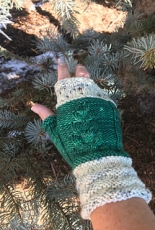 Jennifer L Schmidt - Colorado Winter Mitts