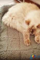 Im lazy!