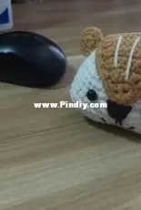 Squirrel mouse wrist