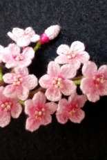 Cherry blossoms