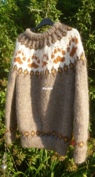 the wilderness sweater - Linka Neumann