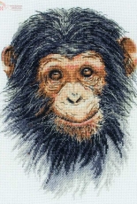 Anchor PCE741 Cherub Monkey