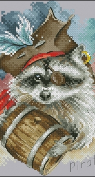Pirate Racoon by Elana Lartsova