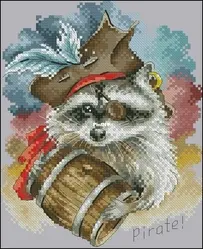 Pirate Racoon by Elana Lartsova