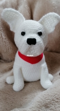 Hugles - French Bulldog