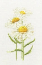 Daisy Chrysanthemum/Marguerite from Thea Gouverneur 3087 - Flower Portraits in Cross Stitch PCS