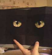 cat eyes