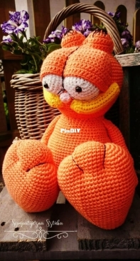 Garfield - big boy :)