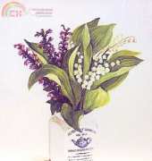 Fujico - Convallaria XSD