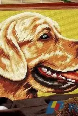 Golden Retriever from Dein Kreuzstich Magazin 2008 N°01