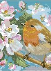 Alisa 1-20 apple blossom with Robin pcs