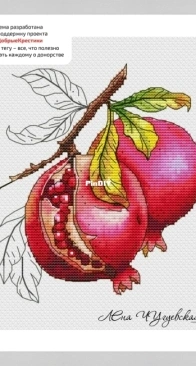 Pomegranate Branch by Elena/ Lena Chuguevskaya