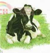 Thea gouverneur - 0451 - Cow