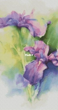 Rainbow irises by Ksenia Adonyeva XSD