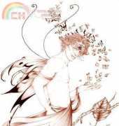 HAED HAELS 1455 Fey Congurance by Lee Anne Seed
