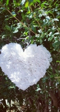 Wedding  decorations