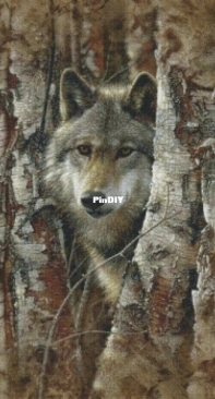 Shinysuns Cross Stitching - Woodland Spirit XSD
