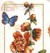 Zolotoe Runo ML-004 Amber Melody