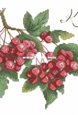 M.P. Studio HB-657 - Huckleberry