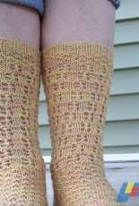 Grundy County Socks by Denise Bein Kroll/Purple Pansy Designs-Free