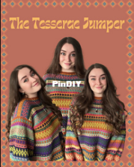 The Tesserae Jumper  - Jessie Darch - Englisch