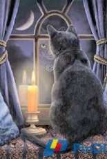 HAED HAELIPMINI 213621 Mini Midnight Vigil by Lisa Parker XSD