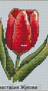 Red Tulip by Anastasia Zhukova