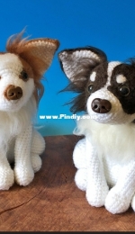 Jennys IdeenReich - Jenny Dammann - Chihuahua