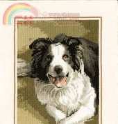 Heritage Stitchcraft JSBD418 Border Collie by John Stubbs XSD