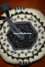 Twilight Team Cullen Crest Hat by Nancy Fry-Free