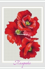 Poppy Trio by Tamriko Lamaridze