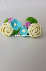 The earrings2