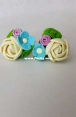 The earrings2
