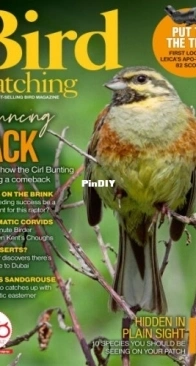Bird Watching UK - Autumn 2025