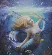 HAED HAEMED 2243 Splash by Melanie Delon