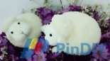 White sheep