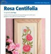 The Chart Shop - Rosa Centifolia
