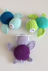 Little turtle et crab