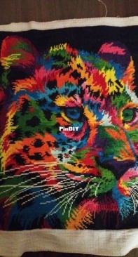 colourful cat