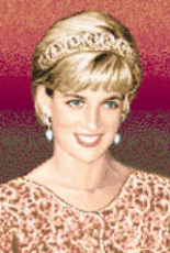 Solaria Gallery - Princess Diana - rectangle