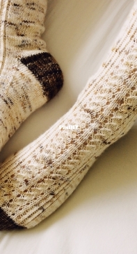 Barricane Socks by Debbie Ford-Free