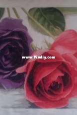 Monalisa Roses