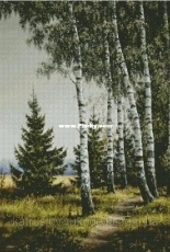 Chimera-Native expanses