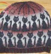Cats in the Hat by Deborah Tomasello