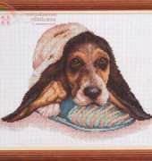 Pinn 16-I Please Forgive Me