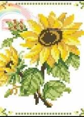 Vervaco 70.866 Sunflowers  xsd + pcs
