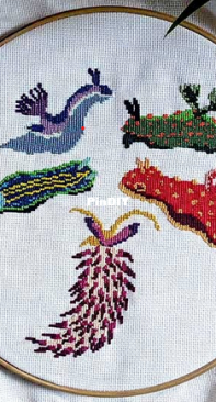 Natural History Museum Nudibranch - Free pattern