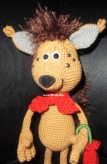 Misi squirrel