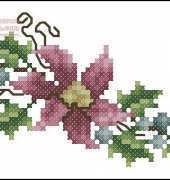 Pamela Kelogg Poinsettias