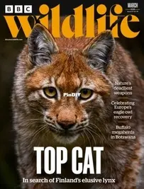 BBC Wildlife Magazine - Vol. 44 Issue 03 - March 2026